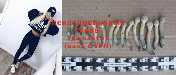 хмурый Верхний Тагил