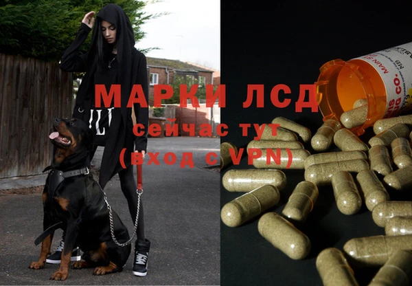 ALPHA PVP Володарск